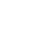 Auto Industry