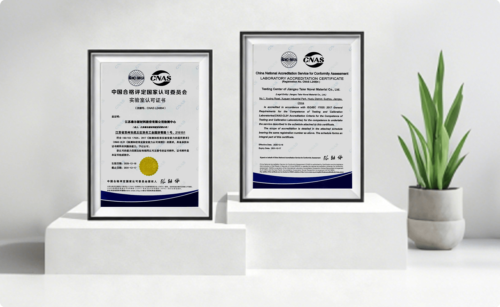 Test Certificate